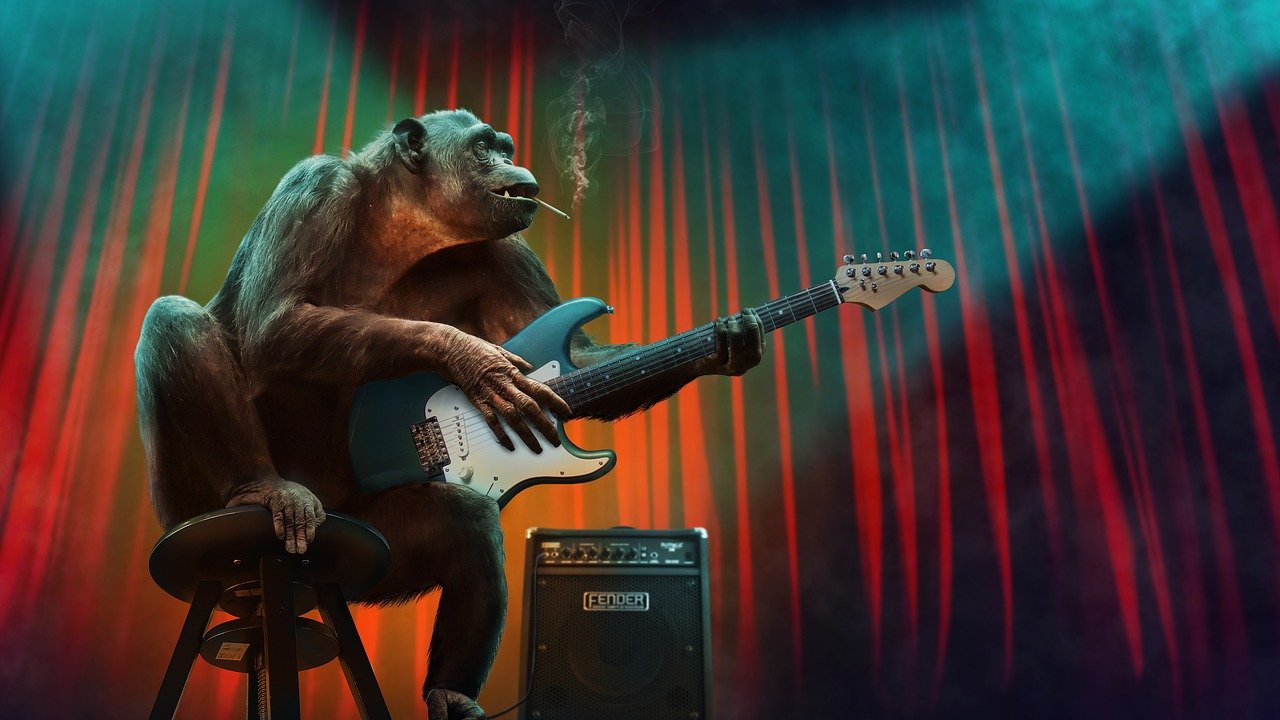 Mono guitarra